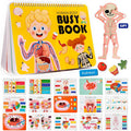 Human Anatomy Busy Book