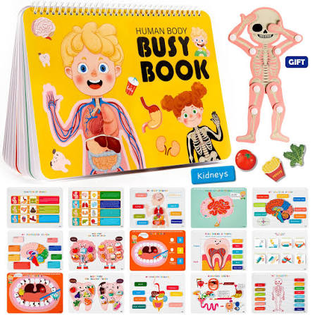 Human Anatomy Busy Book